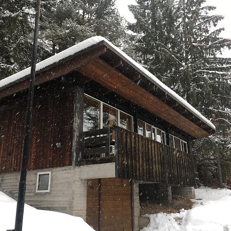 Villa Borca Di Cadore Exterior photo